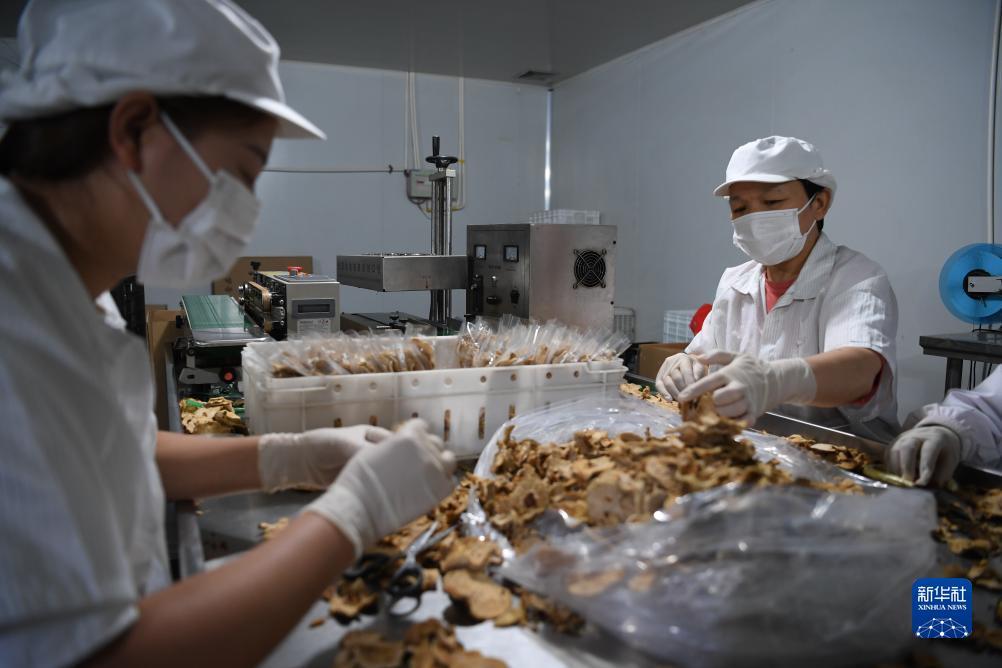9州发布页